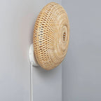 Plug in Wall Light Living Room