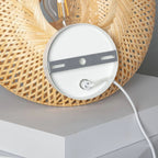 Plug in Wall Light Living Room