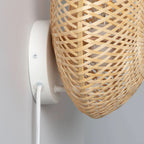 Plug in Wall Light Living Room