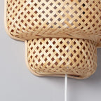 Wall Light with Plug in Cord